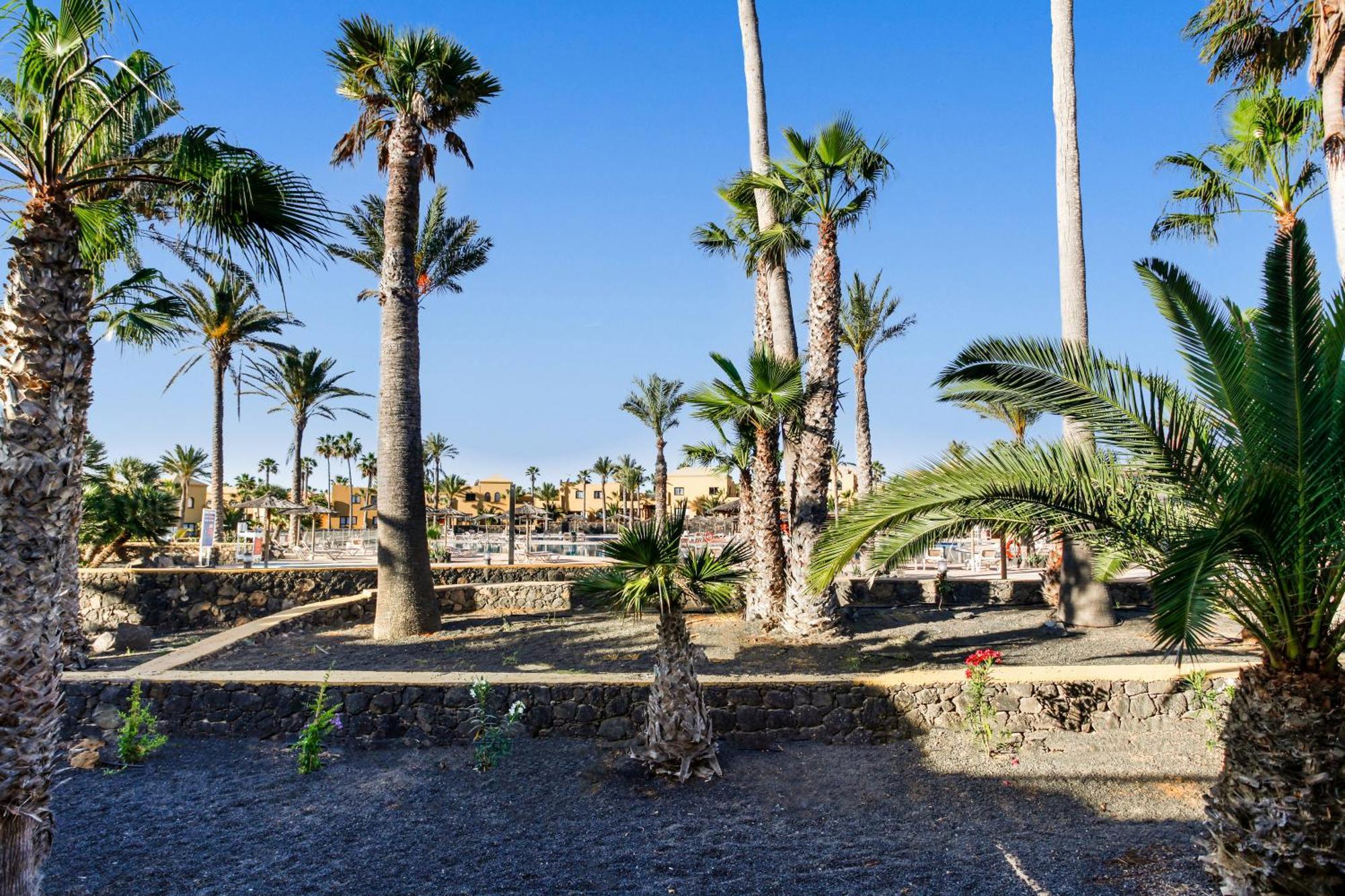 Papagayo Ferienhaus Corralejo